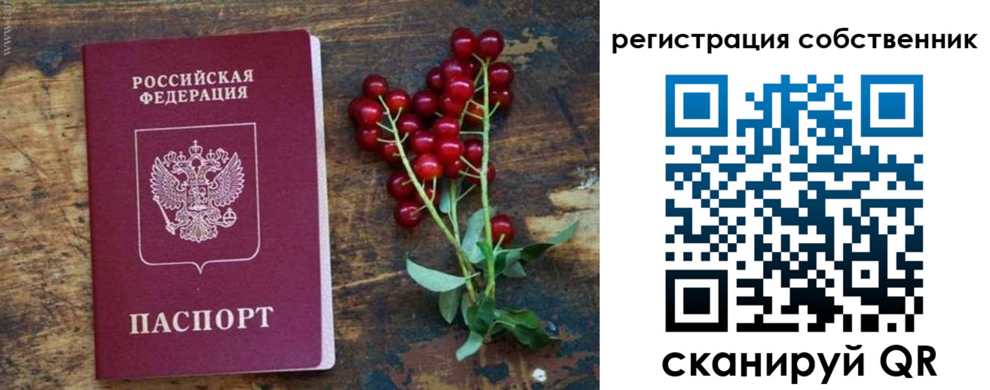 регистрация для дет. сада в Краснослободске